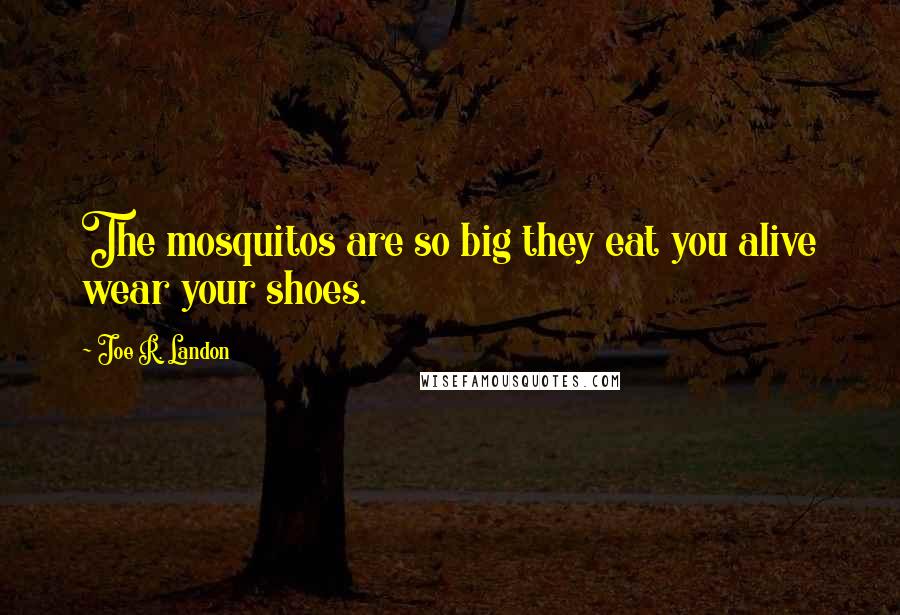 Joe R. Landon Quotes: The mosquitos are so big they eat you alive wear your shoes.