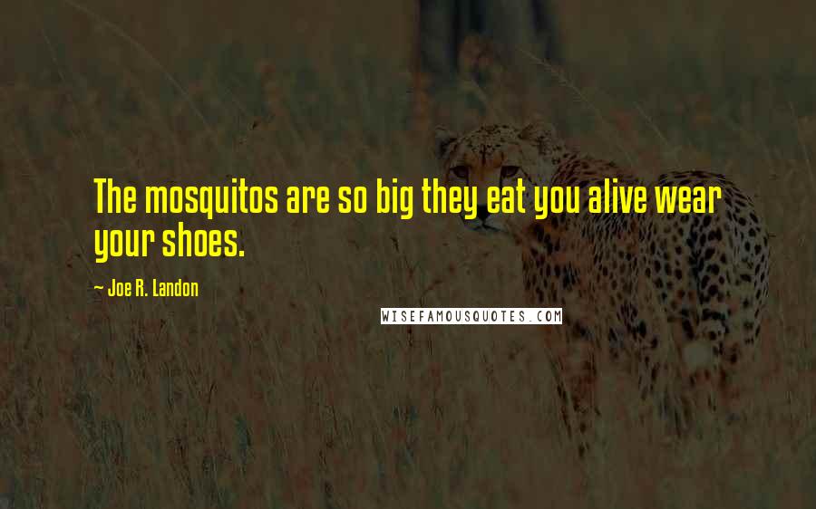 Joe R. Landon Quotes: The mosquitos are so big they eat you alive wear your shoes.