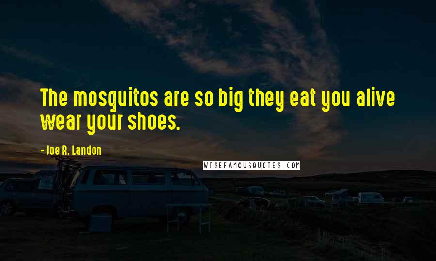 Joe R. Landon Quotes: The mosquitos are so big they eat you alive wear your shoes.