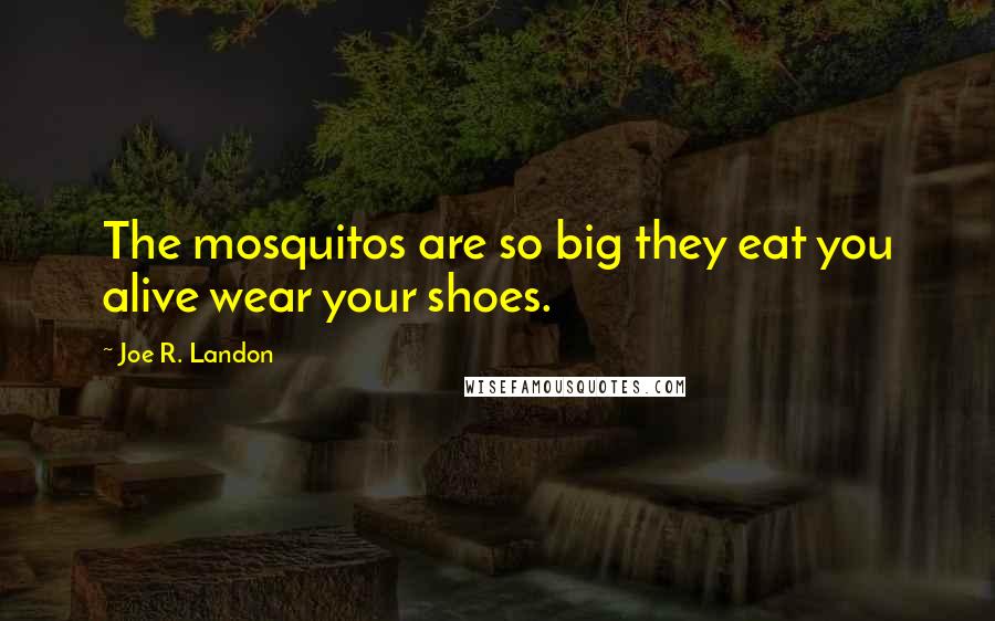 Joe R. Landon Quotes: The mosquitos are so big they eat you alive wear your shoes.