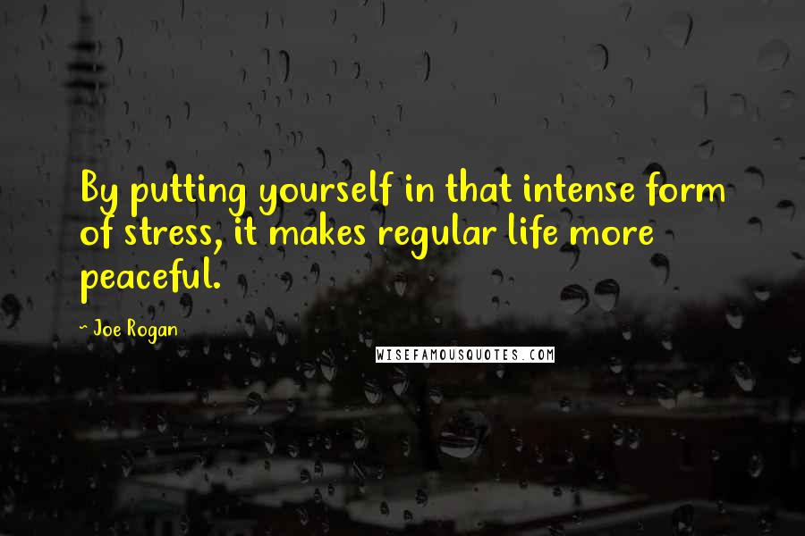 Joe Rogan Quotes: By putting yourself in that intense form of stress, it makes regular life more peaceful.