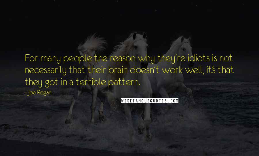 Joe Rogan Quotes: For many people the reason why they're idiots is not necessarily that their brain doesn't work well, it's that they got in a terrible pattern.