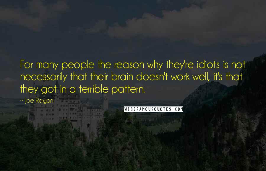 Joe Rogan Quotes: For many people the reason why they're idiots is not necessarily that their brain doesn't work well, it's that they got in a terrible pattern.