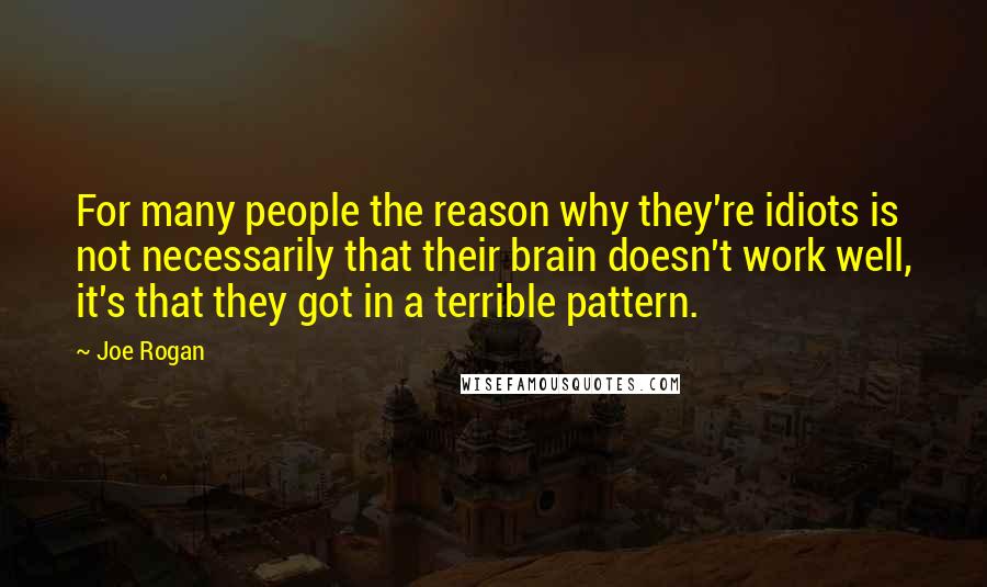 Joe Rogan Quotes: For many people the reason why they're idiots is not necessarily that their brain doesn't work well, it's that they got in a terrible pattern.