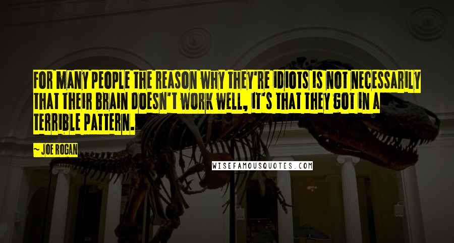 Joe Rogan Quotes: For many people the reason why they're idiots is not necessarily that their brain doesn't work well, it's that they got in a terrible pattern.