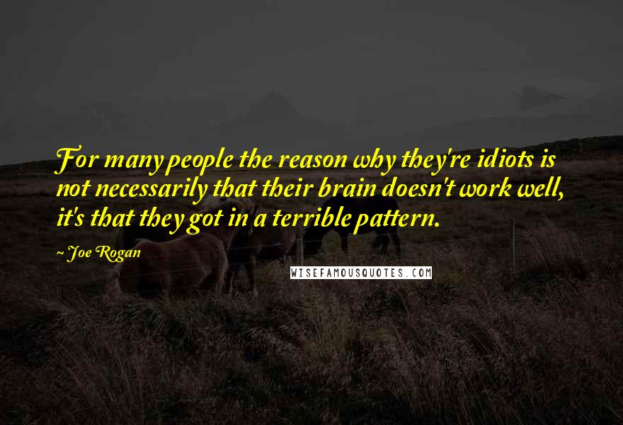 Joe Rogan Quotes: For many people the reason why they're idiots is not necessarily that their brain doesn't work well, it's that they got in a terrible pattern.