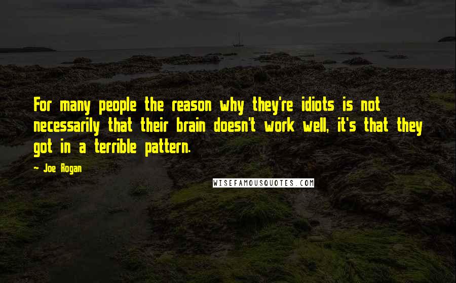 Joe Rogan Quotes: For many people the reason why they're idiots is not necessarily that their brain doesn't work well, it's that they got in a terrible pattern.