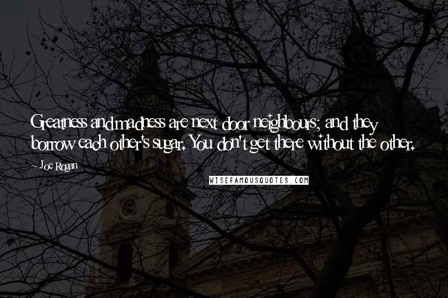 Joe Rogan Quotes: Greatness and madness are next door neighbours; and they borrow each other's sugar. You don't get there without the other.