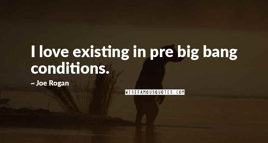 Joe Rogan Quotes: I love existing in pre big bang conditions.