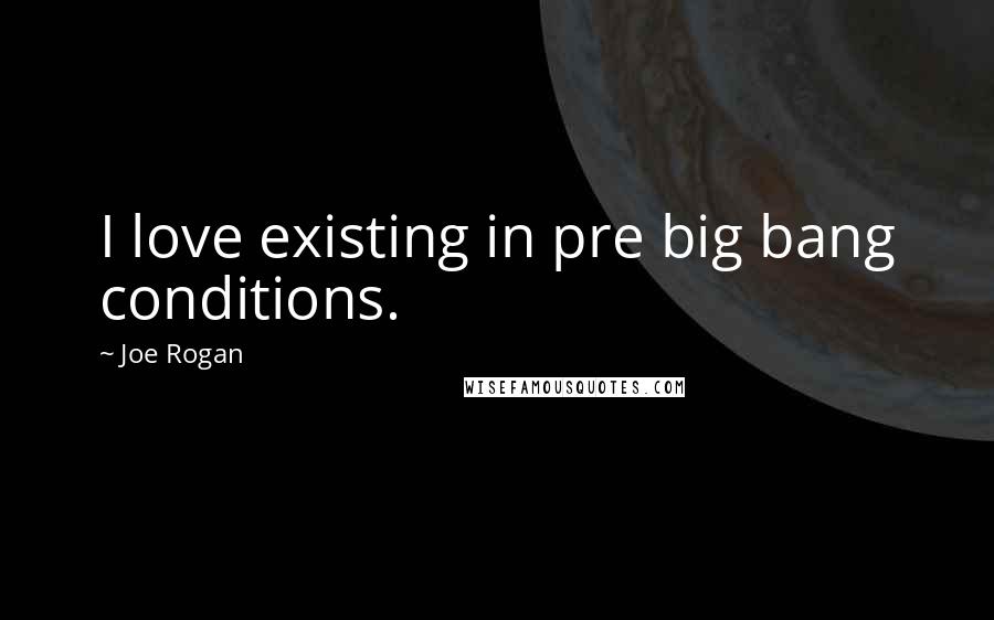 Joe Rogan Quotes: I love existing in pre big bang conditions.