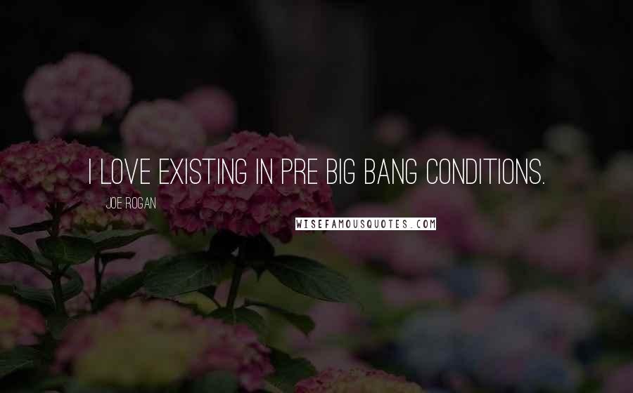 Joe Rogan Quotes: I love existing in pre big bang conditions.