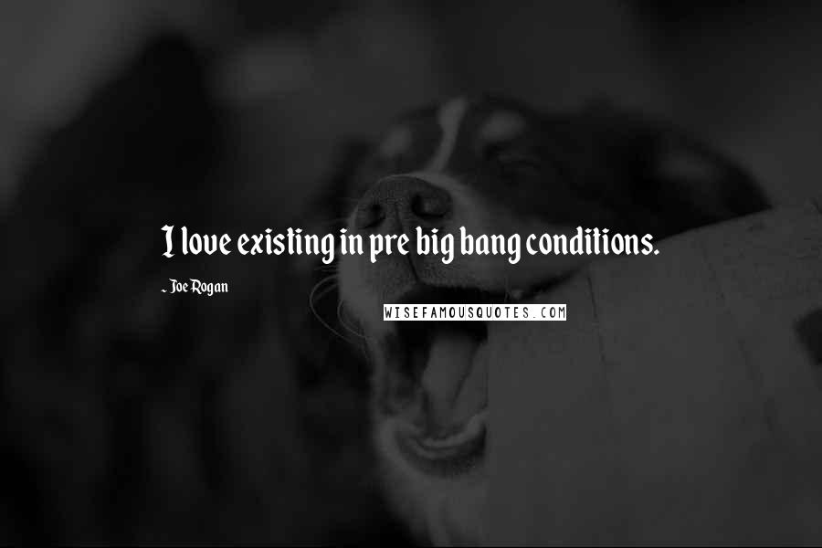 Joe Rogan Quotes: I love existing in pre big bang conditions.