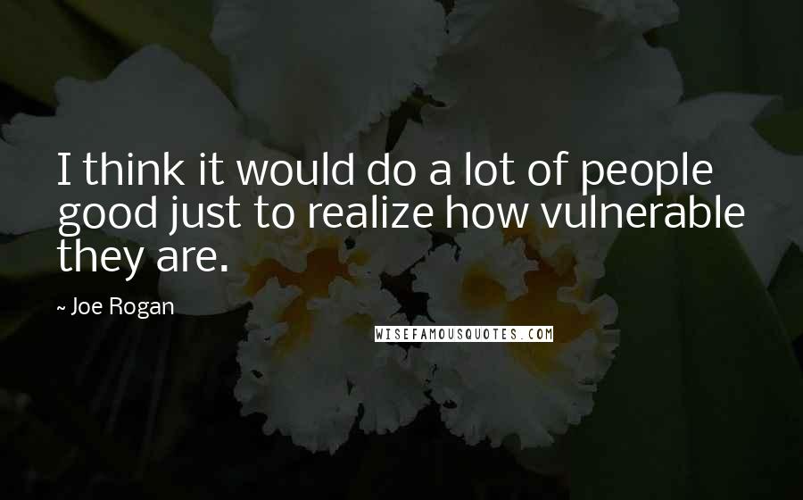 Joe Rogan Quotes: I think it would do a lot of people good just to realize how vulnerable they are.