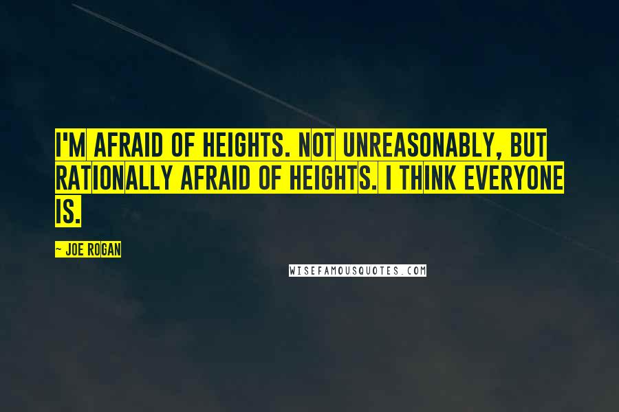 Joe Rogan Quotes: I'm afraid of heights. Not unreasonably, but rationally afraid of heights. I think everyone is.