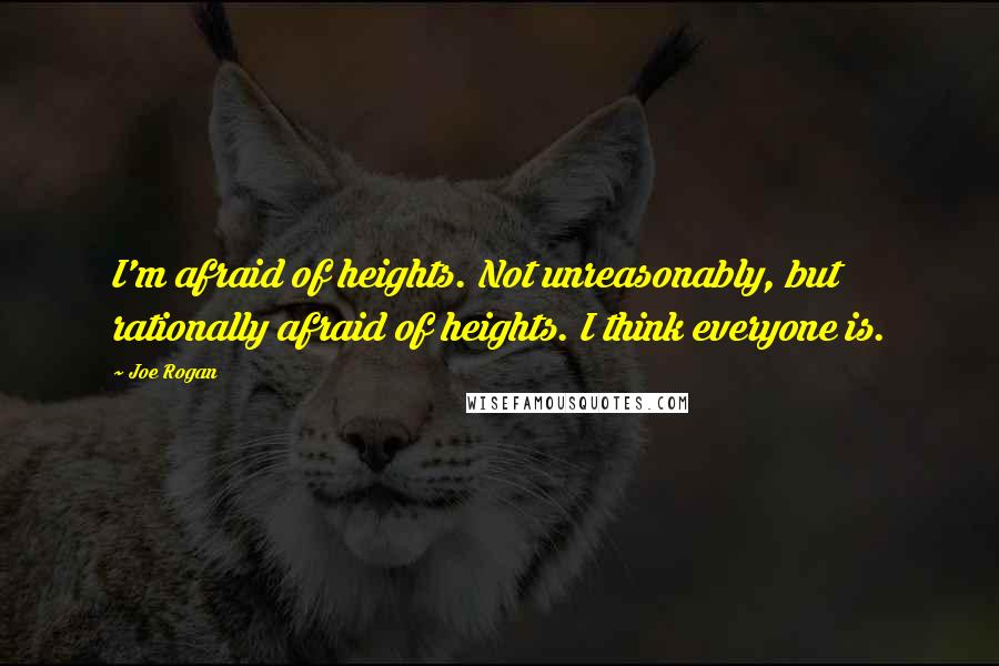 Joe Rogan Quotes: I'm afraid of heights. Not unreasonably, but rationally afraid of heights. I think everyone is.