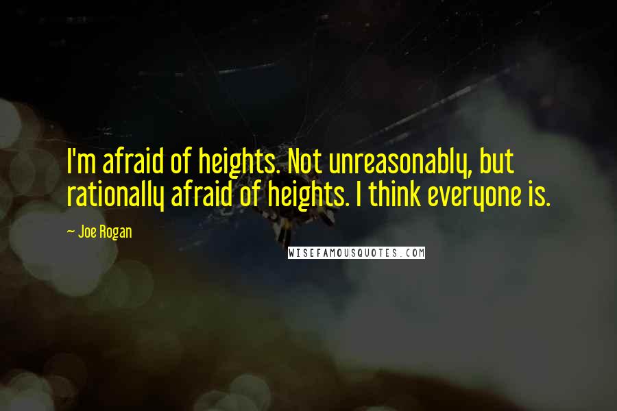 Joe Rogan Quotes: I'm afraid of heights. Not unreasonably, but rationally afraid of heights. I think everyone is.