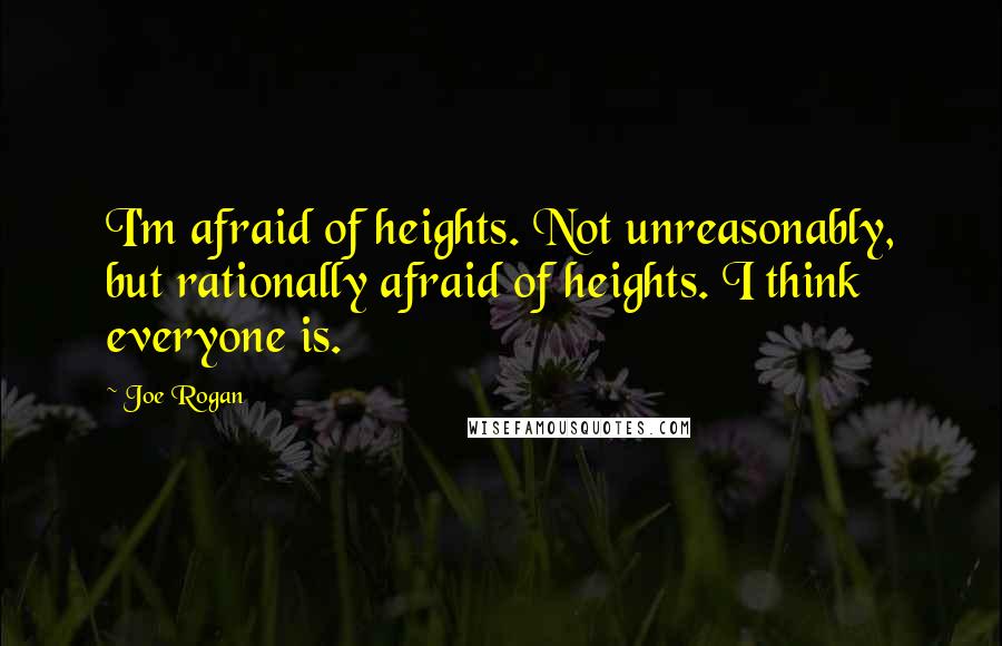 Joe Rogan Quotes: I'm afraid of heights. Not unreasonably, but rationally afraid of heights. I think everyone is.