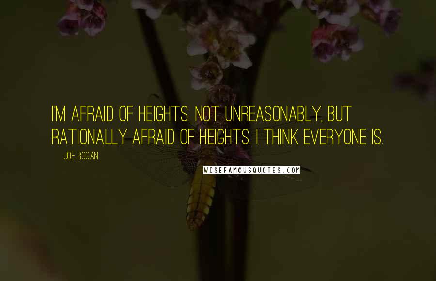 Joe Rogan Quotes: I'm afraid of heights. Not unreasonably, but rationally afraid of heights. I think everyone is.