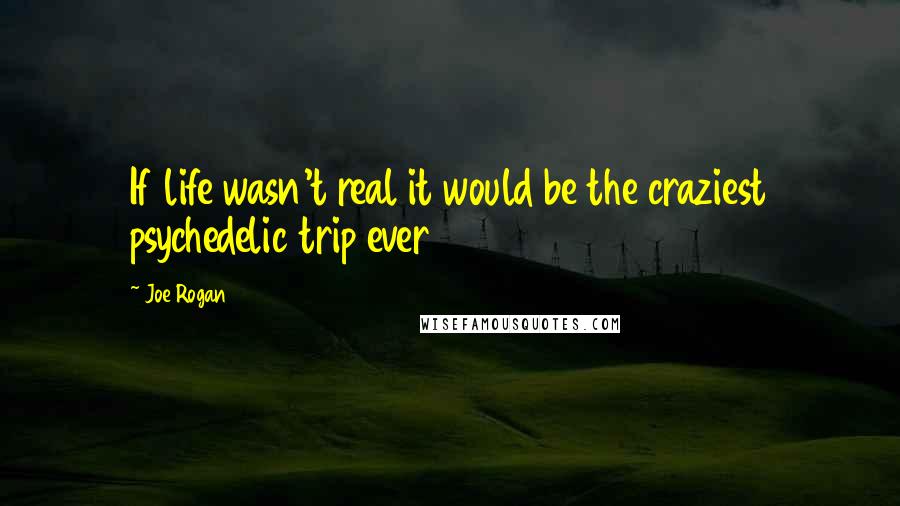 Joe Rogan Quotes: If life wasn't real it would be the craziest psychedelic trip ever