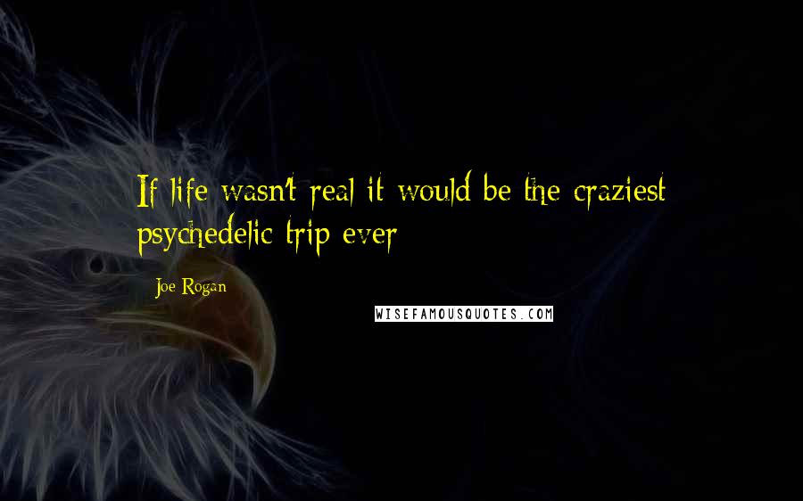 Joe Rogan Quotes: If life wasn't real it would be the craziest psychedelic trip ever