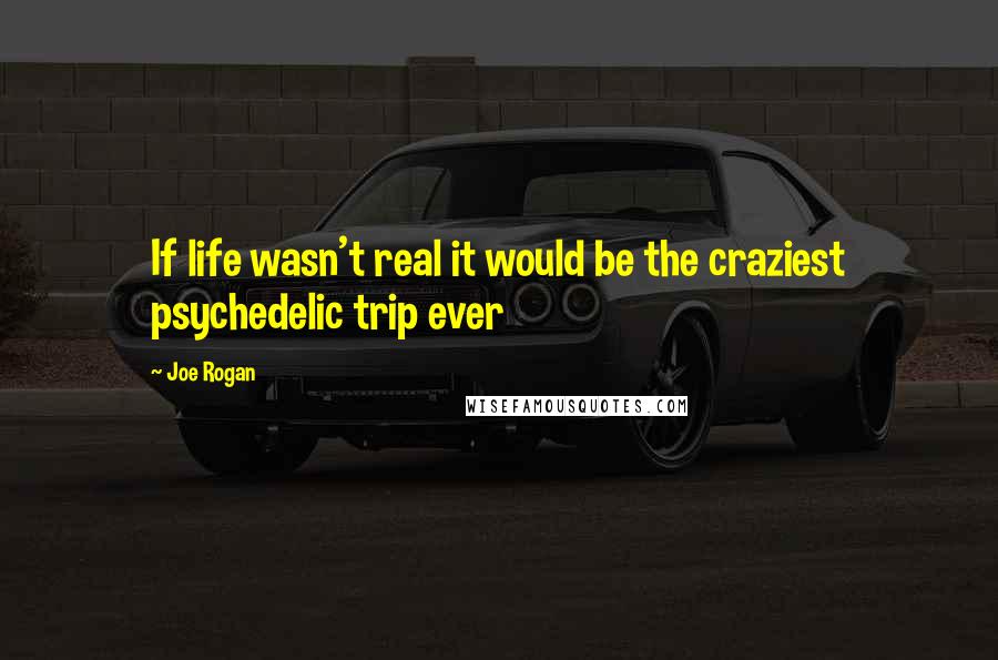 Joe Rogan Quotes: If life wasn't real it would be the craziest psychedelic trip ever