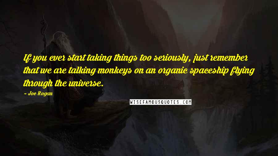 Joe Rogan Quotes: If you ever start taking things too seriously, just remember that we are talking monkeys on an organic spaceship flying through the universe.
