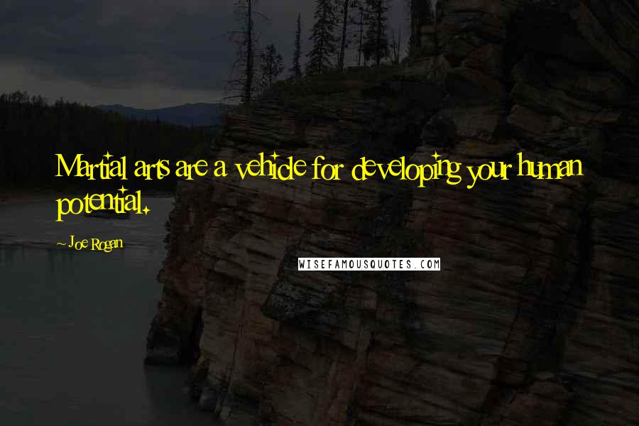 Joe Rogan Quotes: Martial arts are a vehicle for developing your human potential.