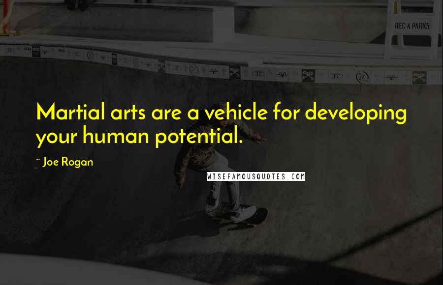 Joe Rogan Quotes: Martial arts are a vehicle for developing your human potential.