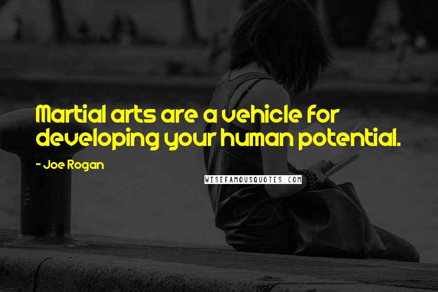 Joe Rogan Quotes: Martial arts are a vehicle for developing your human potential.