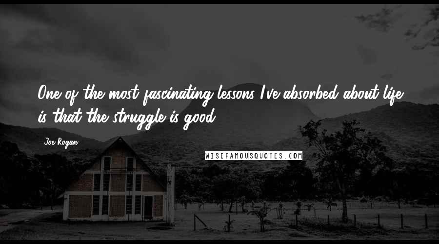 Joe Rogan Quotes: One of the most fascinating lessons I've absorbed about life is that the struggle is good.