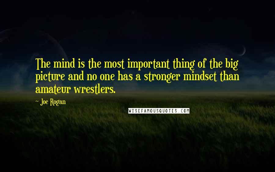 Joe Rogan Quotes: The mind is the most important thing of the big picture and no one has a stronger mindset than amateur wrestlers.