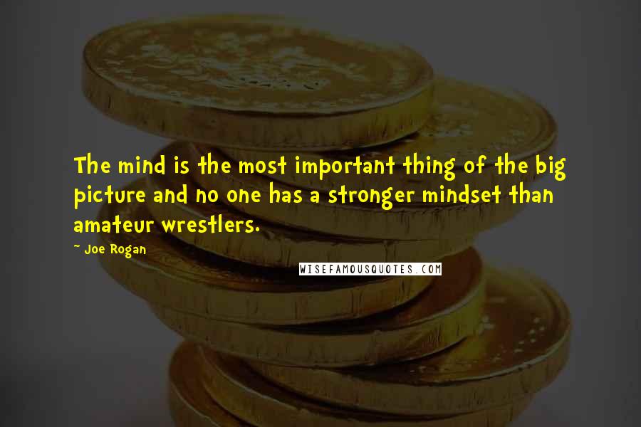 Joe Rogan Quotes: The mind is the most important thing of the big picture and no one has a stronger mindset than amateur wrestlers.