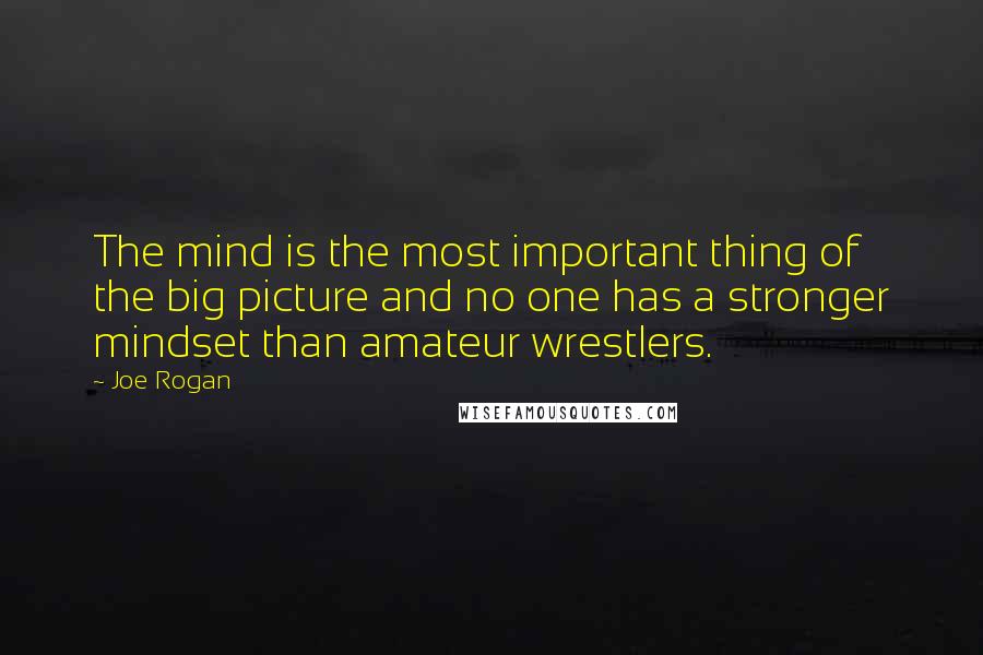 Joe Rogan Quotes: The mind is the most important thing of the big picture and no one has a stronger mindset than amateur wrestlers.