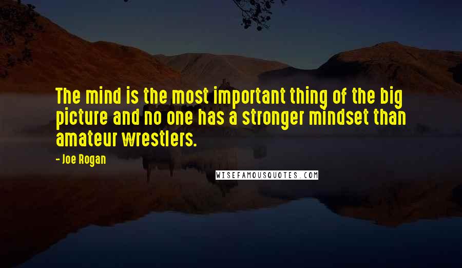 Joe Rogan Quotes: The mind is the most important thing of the big picture and no one has a stronger mindset than amateur wrestlers.