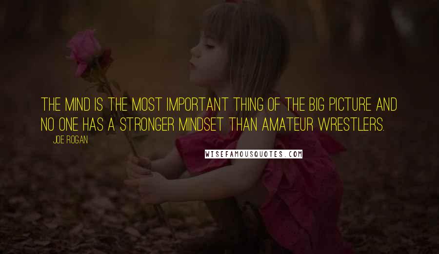 Joe Rogan Quotes: The mind is the most important thing of the big picture and no one has a stronger mindset than amateur wrestlers.