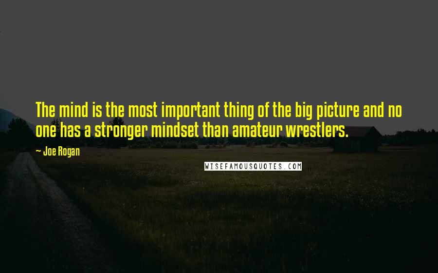 Joe Rogan Quotes: The mind is the most important thing of the big picture and no one has a stronger mindset than amateur wrestlers.