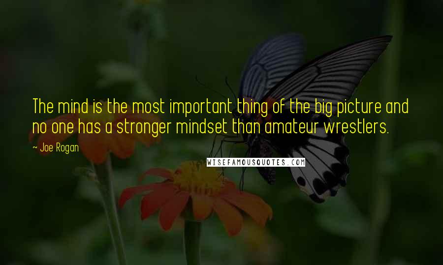 Joe Rogan Quotes: The mind is the most important thing of the big picture and no one has a stronger mindset than amateur wrestlers.