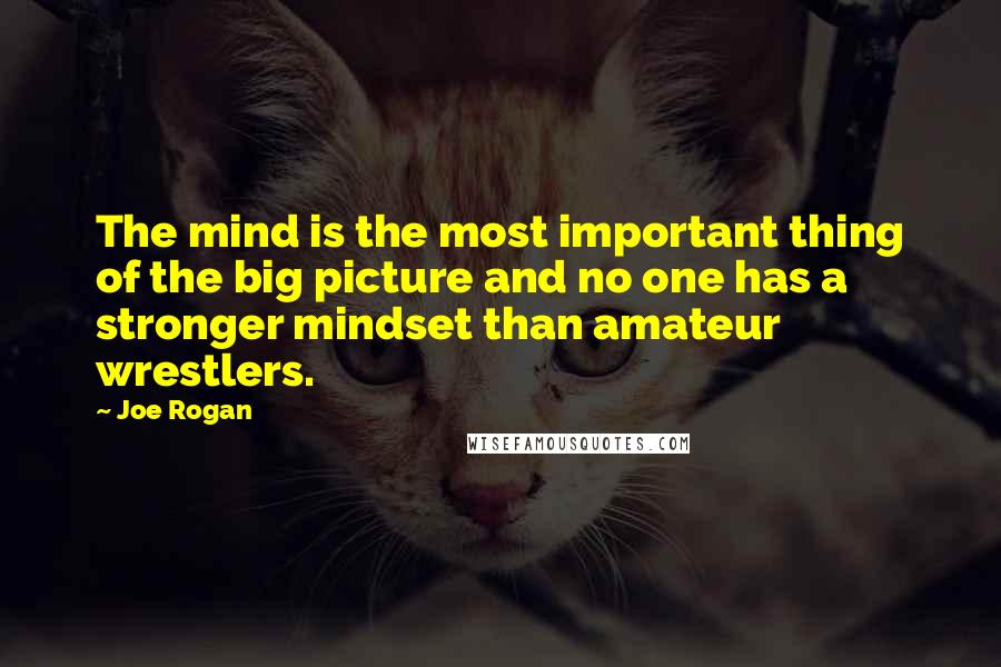 Joe Rogan Quotes: The mind is the most important thing of the big picture and no one has a stronger mindset than amateur wrestlers.