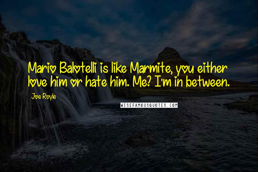 Joe Royle Quotes: Mario Balotelli is like Marmite, you either love him or hate him. Me? I'm in between.