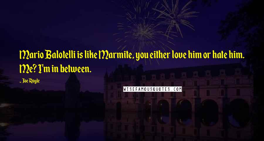Joe Royle Quotes: Mario Balotelli is like Marmite, you either love him or hate him. Me? I'm in between.