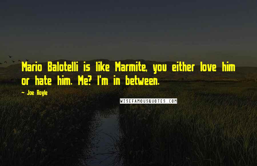 Joe Royle Quotes: Mario Balotelli is like Marmite, you either love him or hate him. Me? I'm in between.