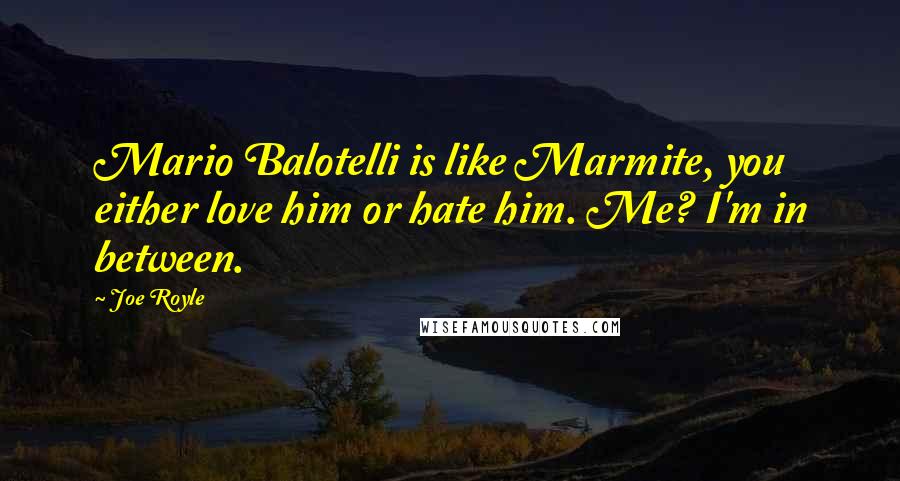Joe Royle Quotes: Mario Balotelli is like Marmite, you either love him or hate him. Me? I'm in between.