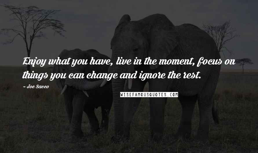Joe Sacco Quotes: Enjoy what you have, live in the moment, focus on things you can change and ignore the rest.
