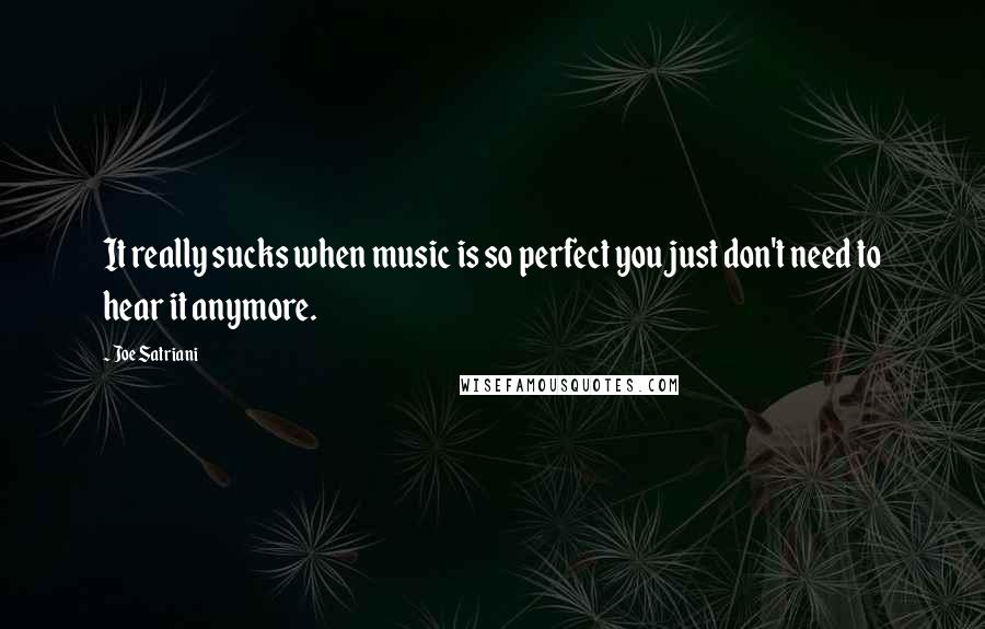 Joe Satriani Quotes: It really sucks when music is so perfect you just don't need to hear it anymore.