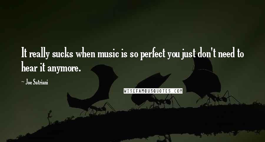Joe Satriani Quotes: It really sucks when music is so perfect you just don't need to hear it anymore.
