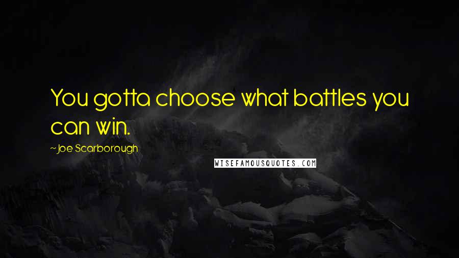 Joe Scarborough Quotes: You gotta choose what battles you can win.