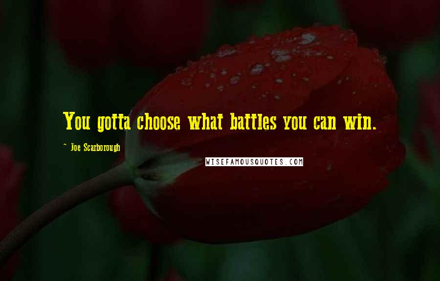 Joe Scarborough Quotes: You gotta choose what battles you can win.