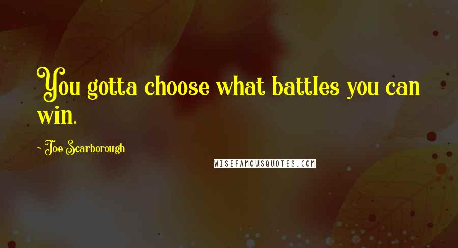 Joe Scarborough Quotes: You gotta choose what battles you can win.