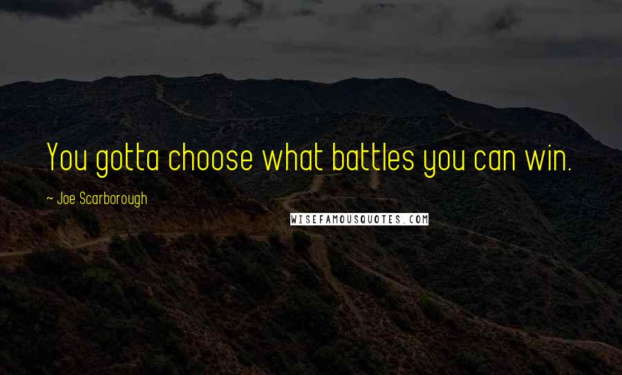 Joe Scarborough Quotes: You gotta choose what battles you can win.