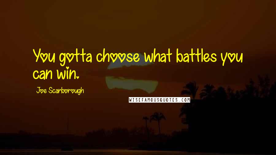 Joe Scarborough Quotes: You gotta choose what battles you can win.